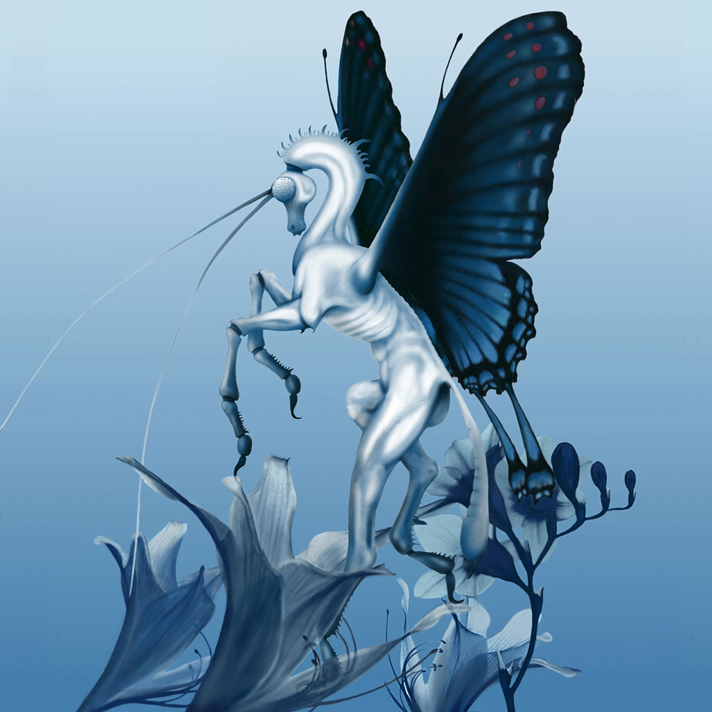 Butterfly Horse