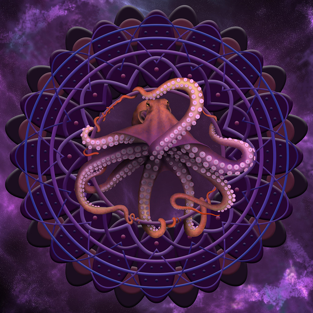 Octopus