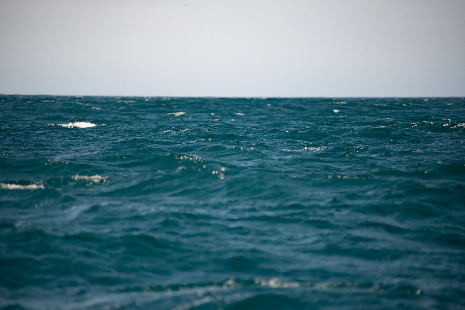 AVISTAMENTO DE BALEIAS JUBARTE EM ARRAIAL DO CABO, BRASIL, EM 28-07-2022