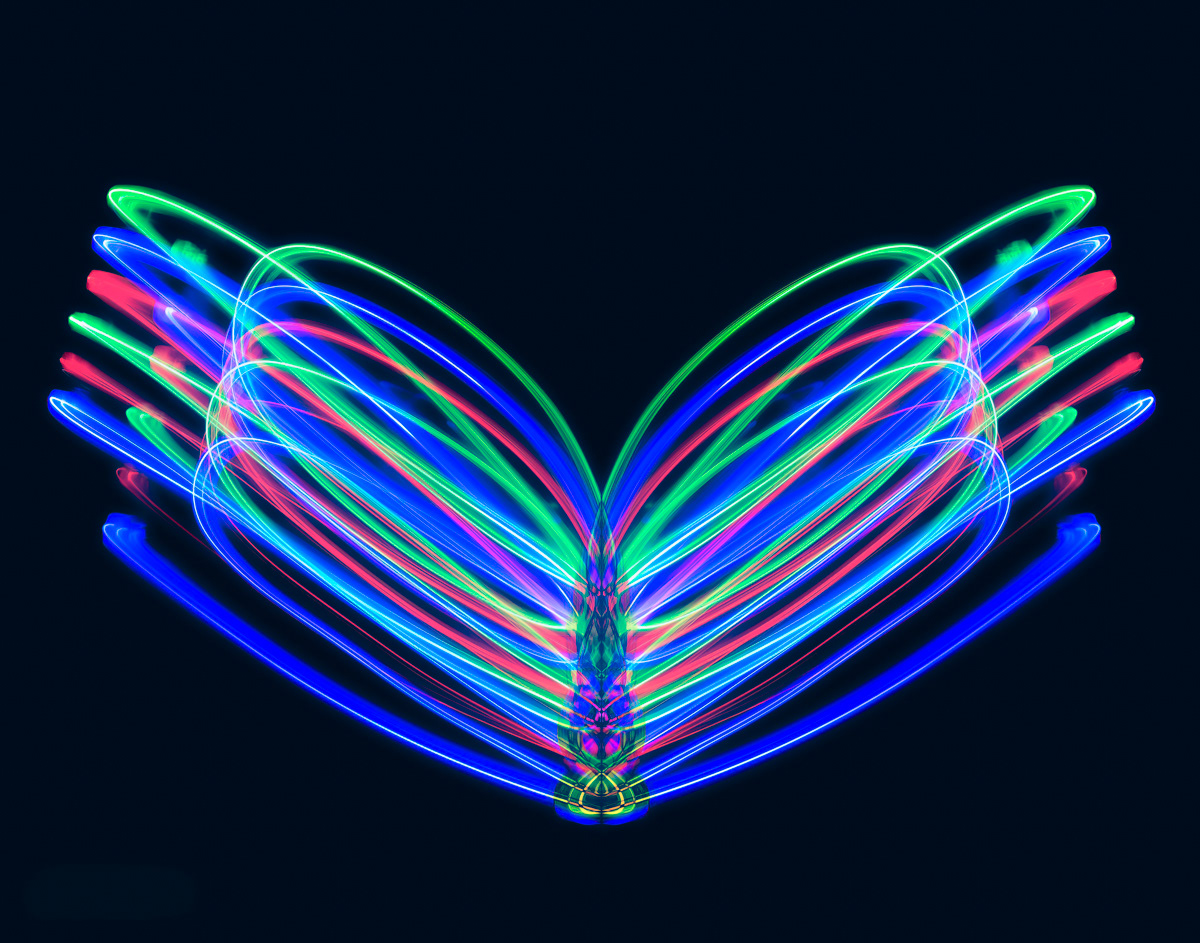 Neon Butterfly