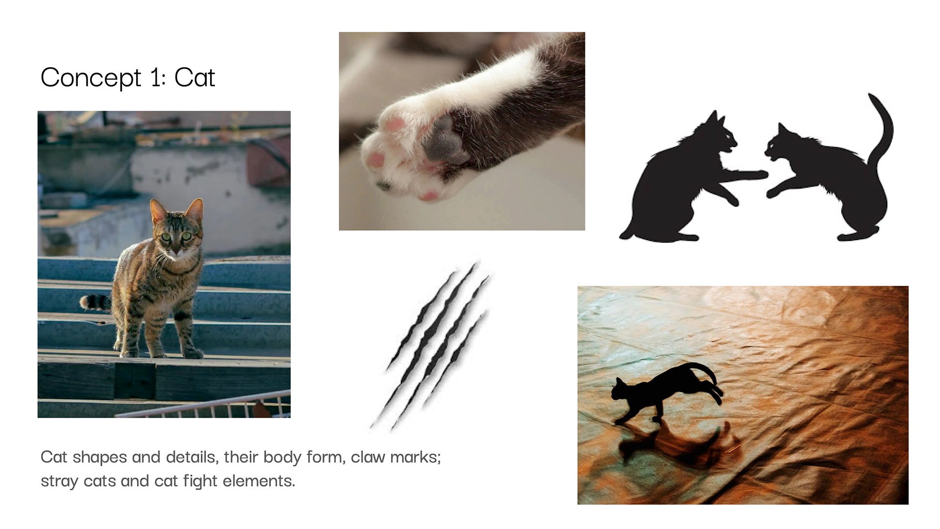Design concept 1: Cat