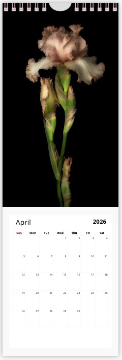 April
