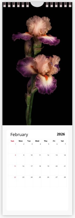 February