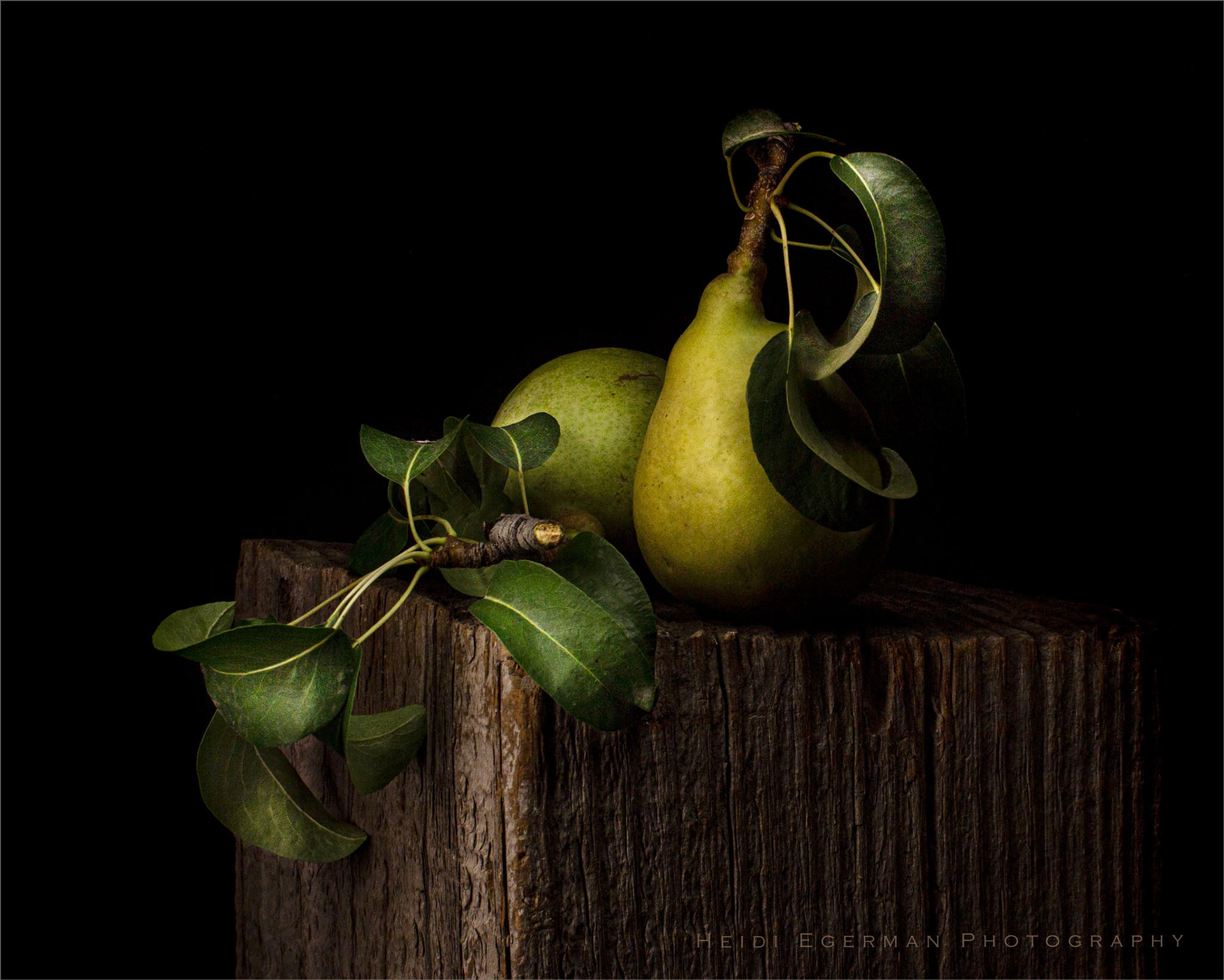 Pair of Pears