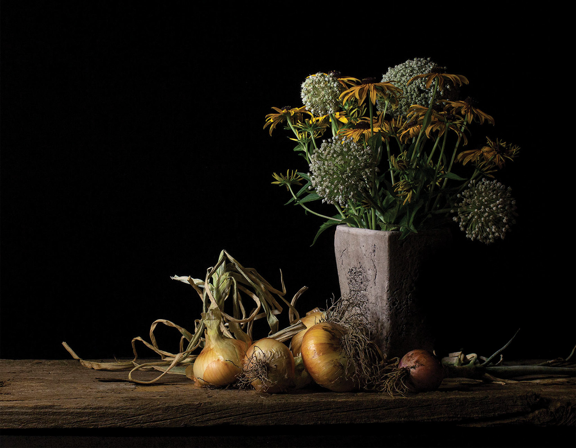 Alliums