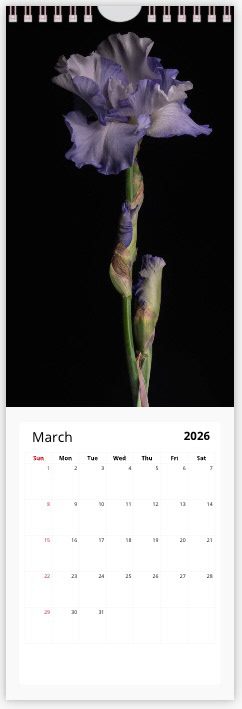 March