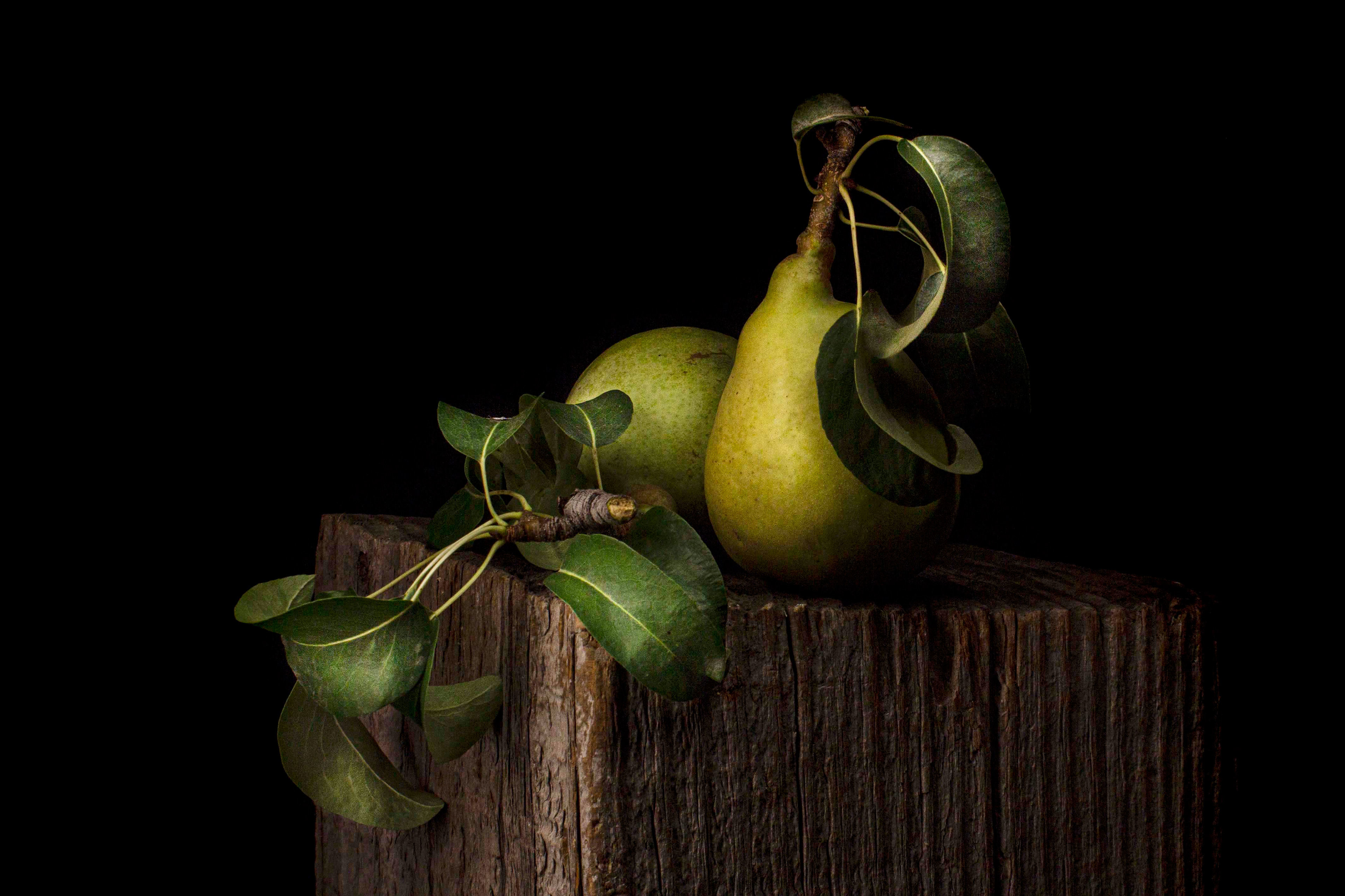 Amateur Magazine. A Pair of Pears.