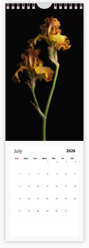 July