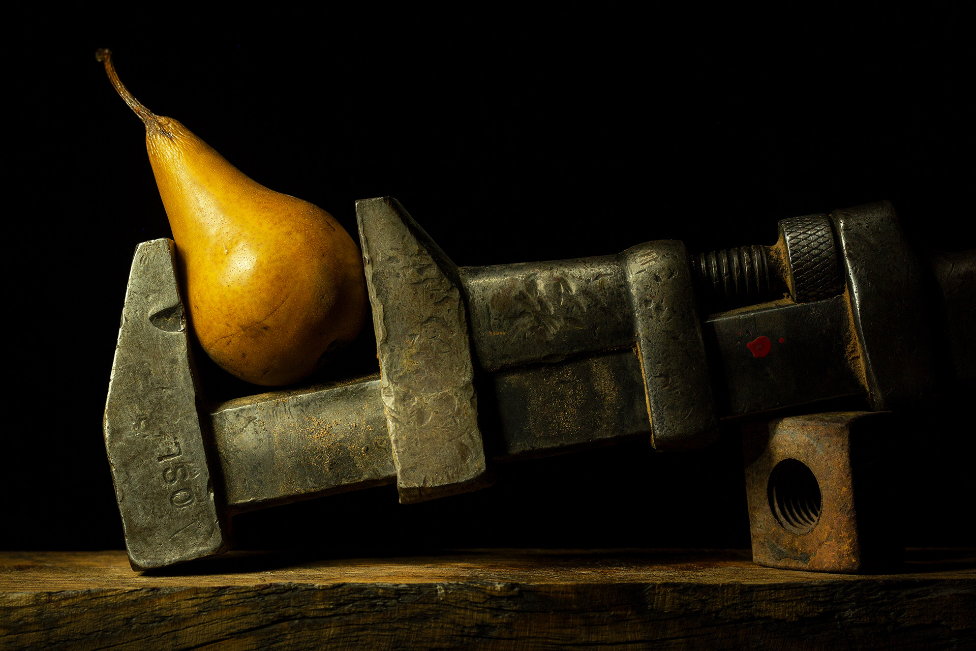 Praxis Gallery. Still LIfe.