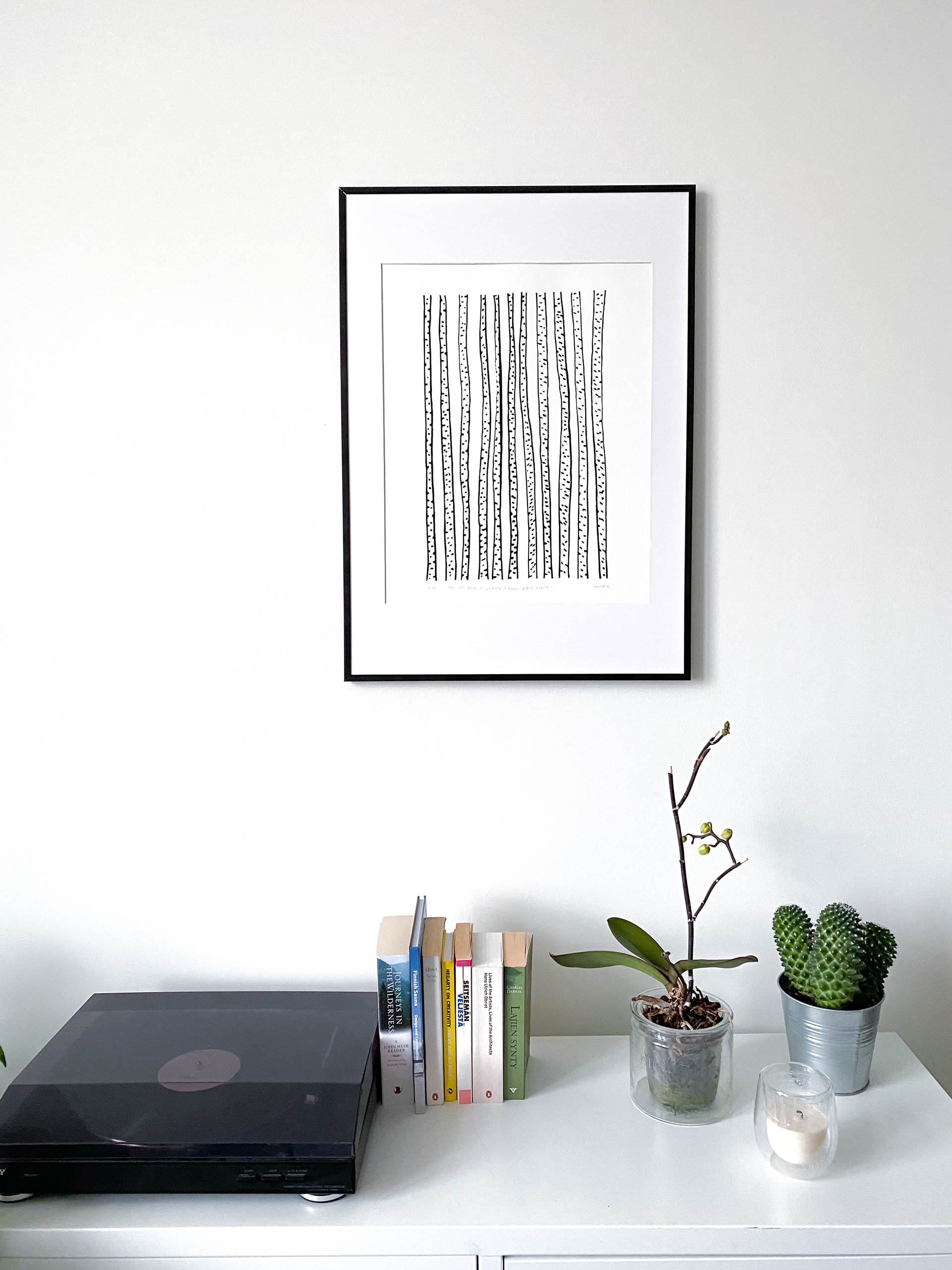 MY LAST NAME IS KOIVISTO. IT MEANS BIRCH FOREST.