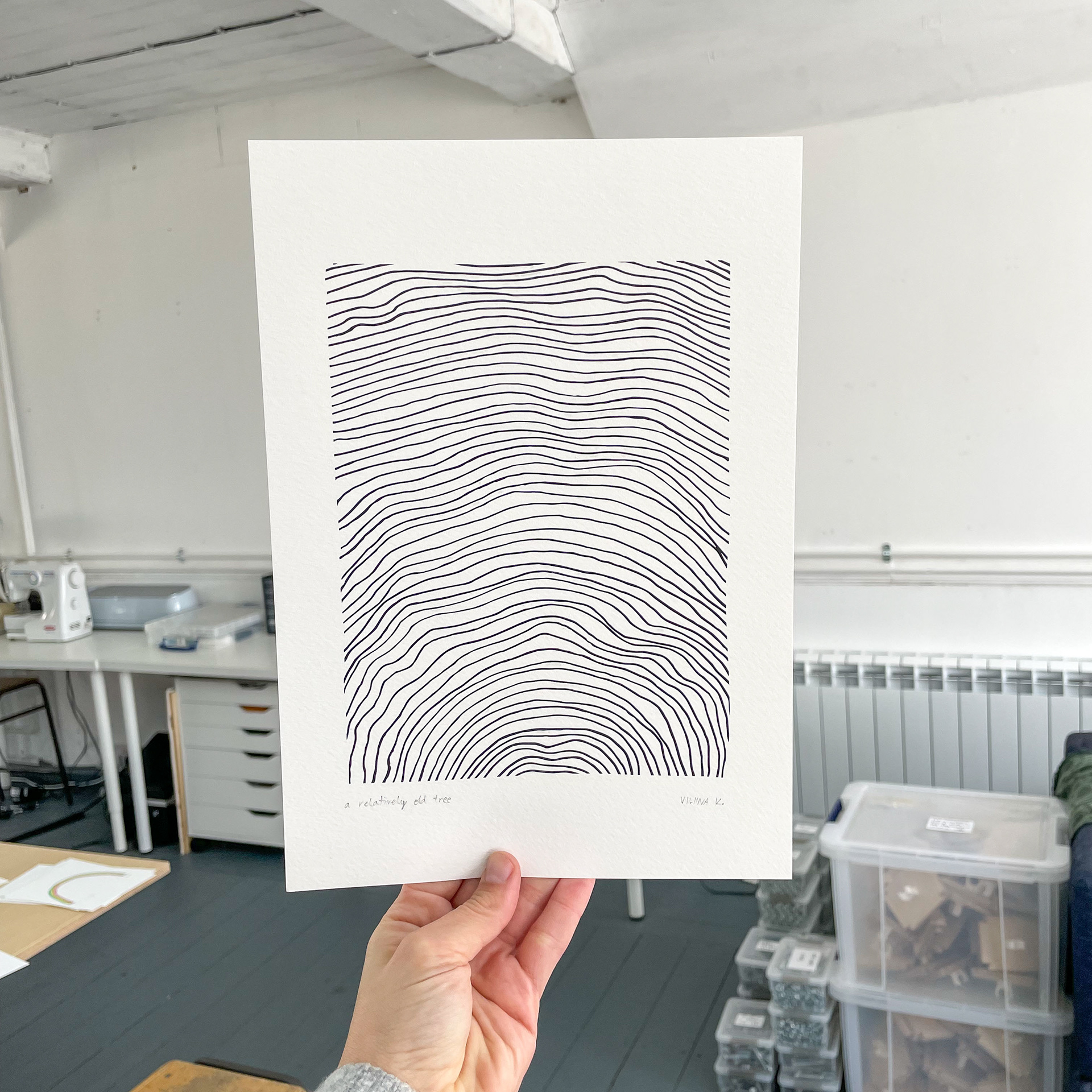 A RELATIVELY OLD TREE