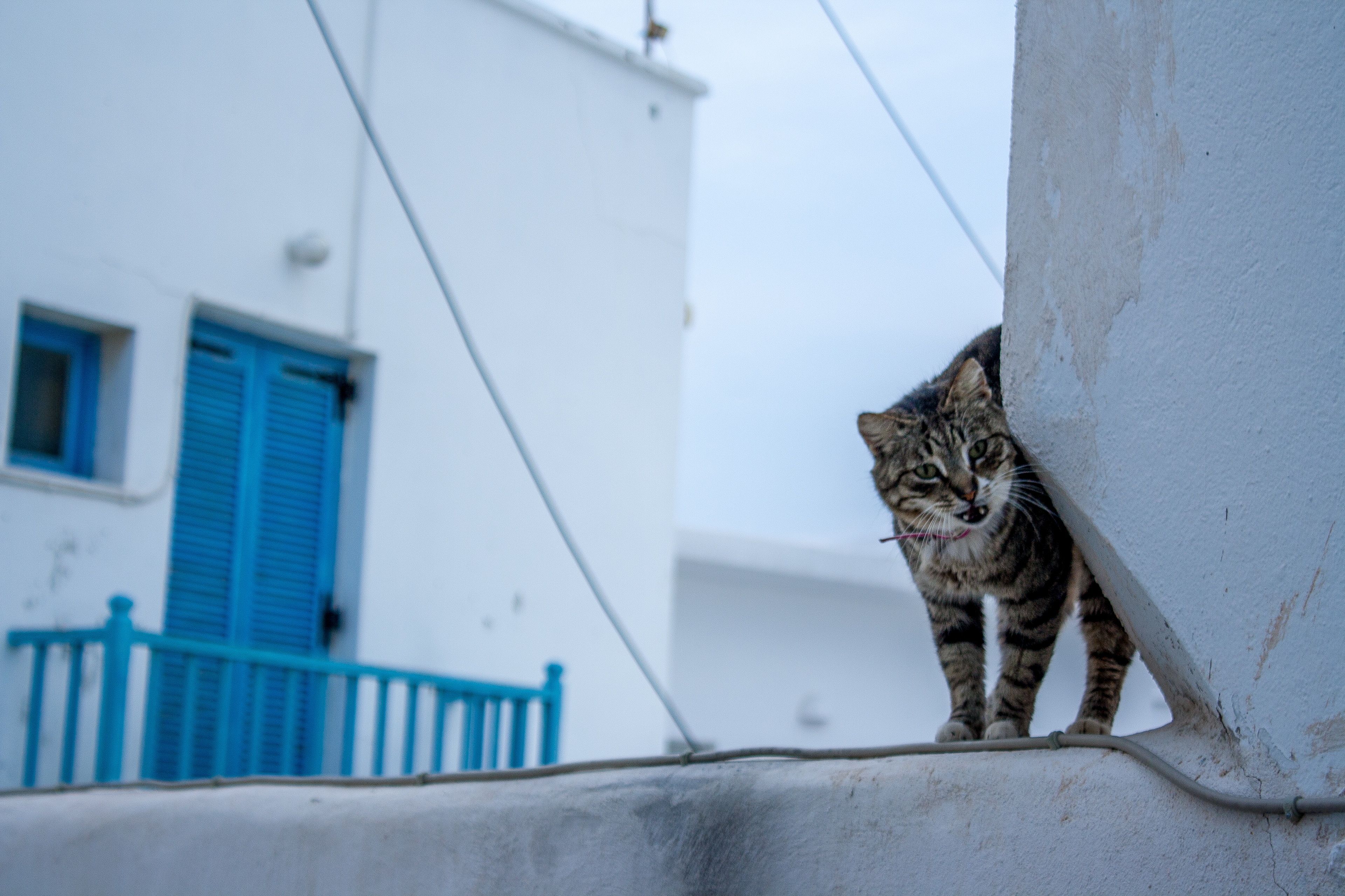 Paros, 2019