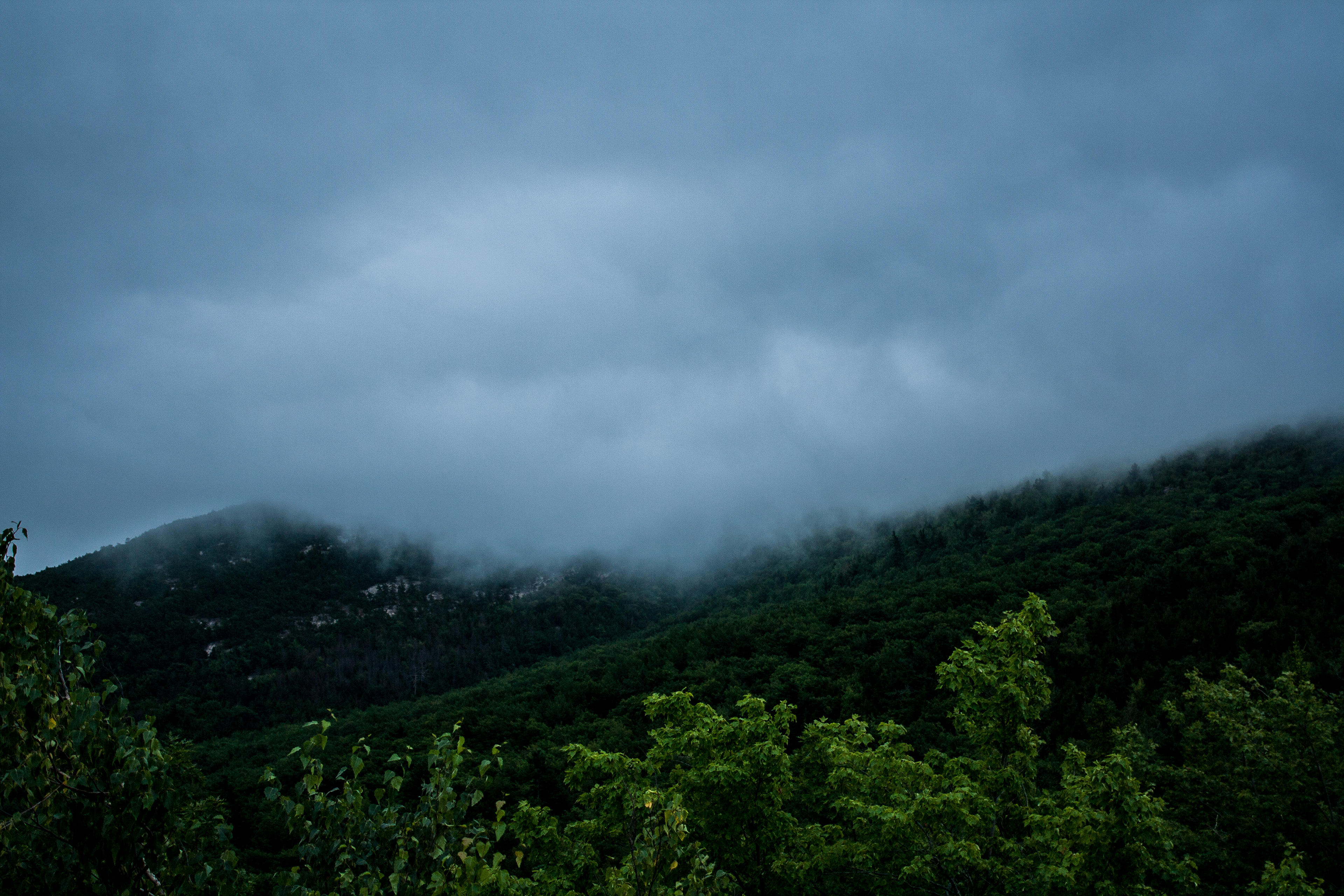 Acadia, 2018