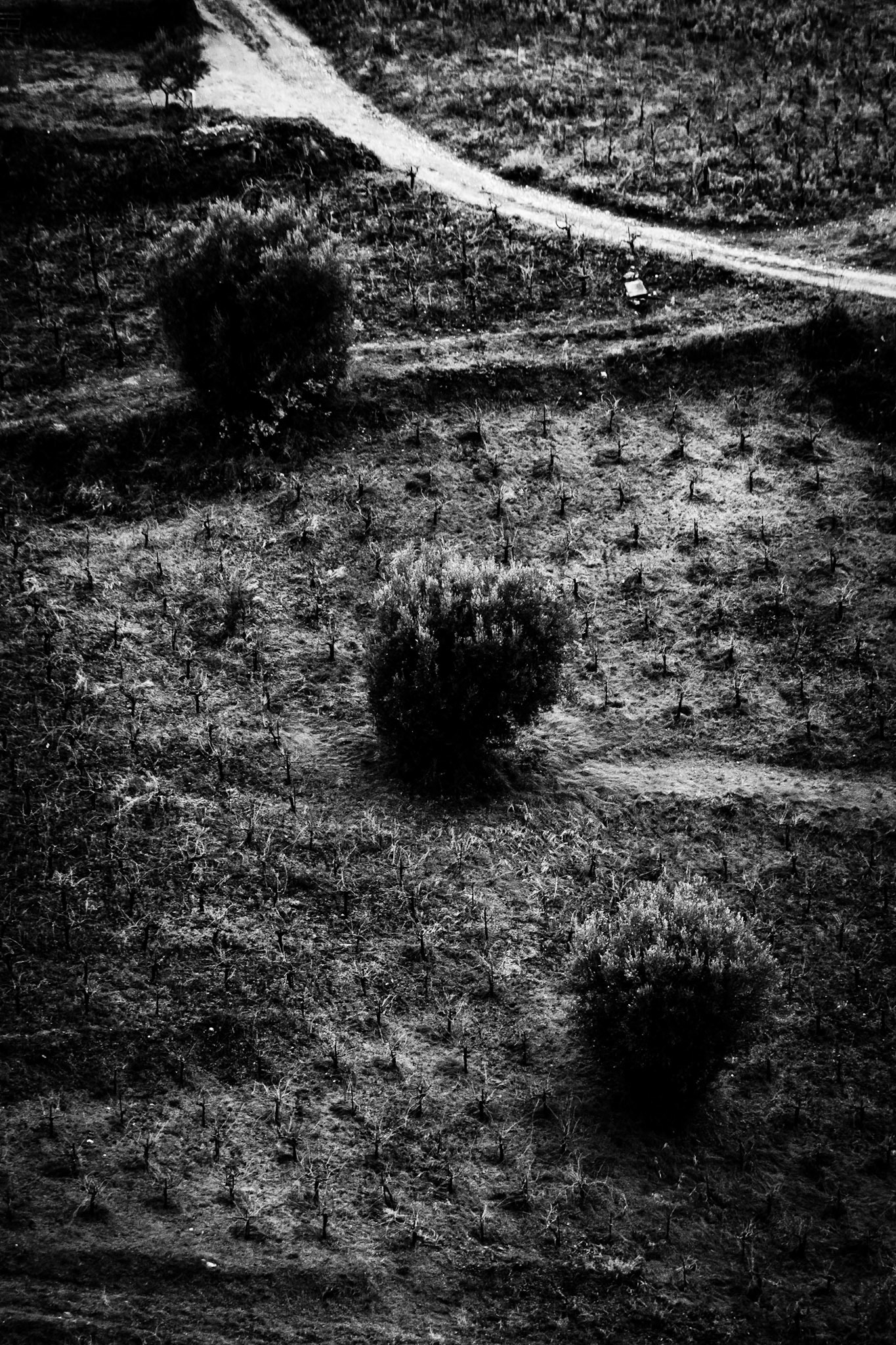 Ahladias, Egio, 2017