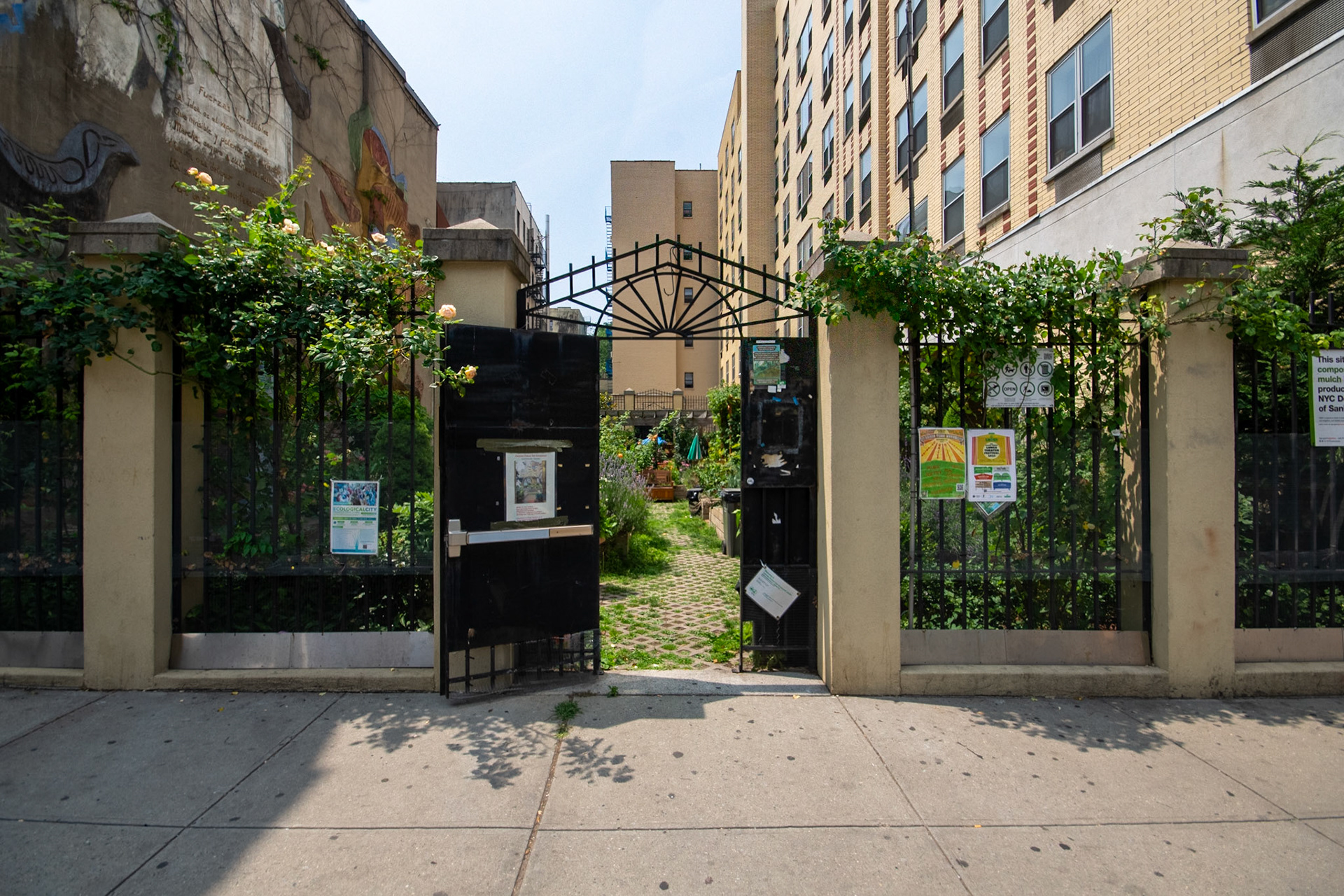 Carmen Pabon's Garden