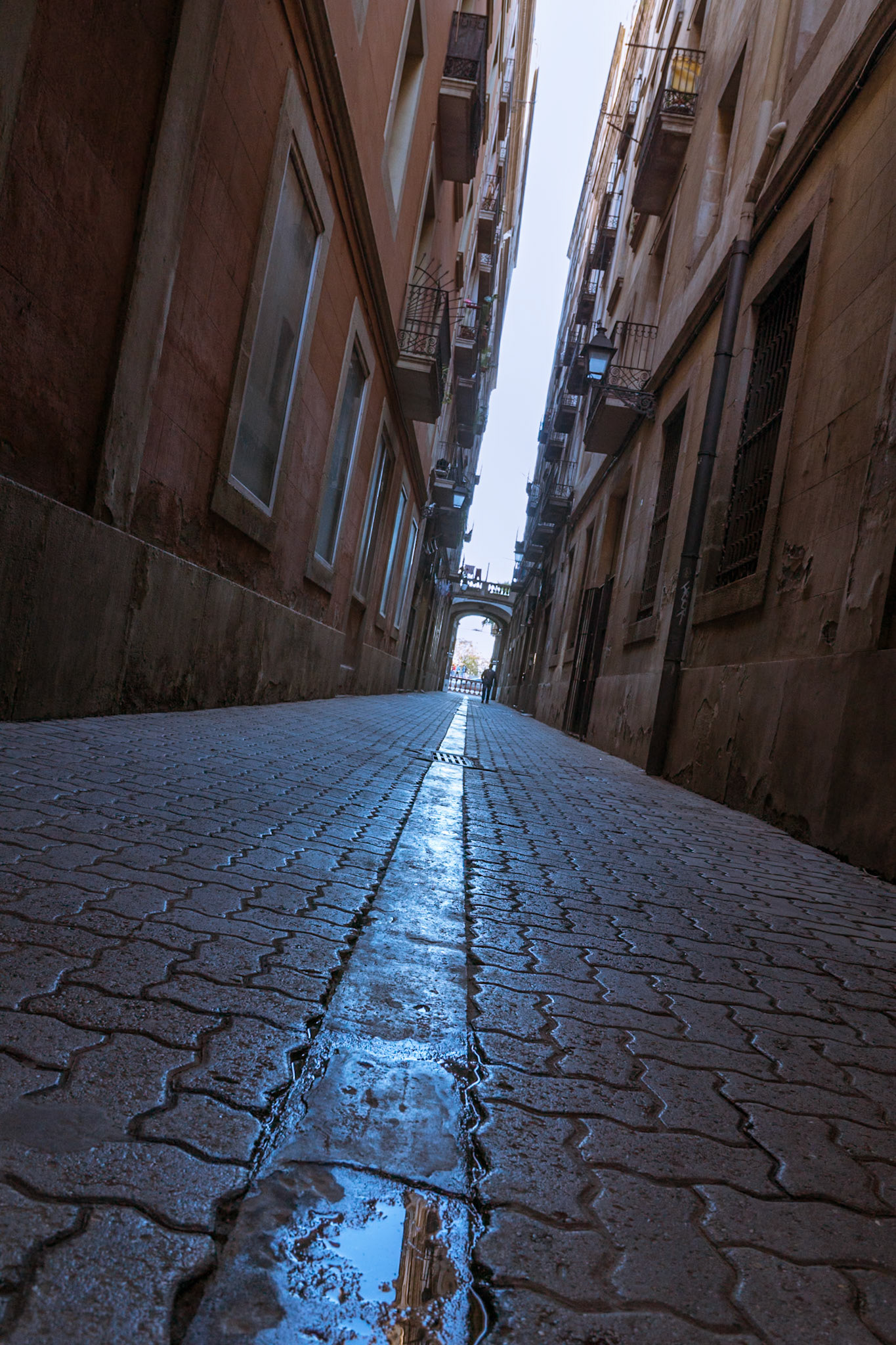 Galeria Fernandez Cano