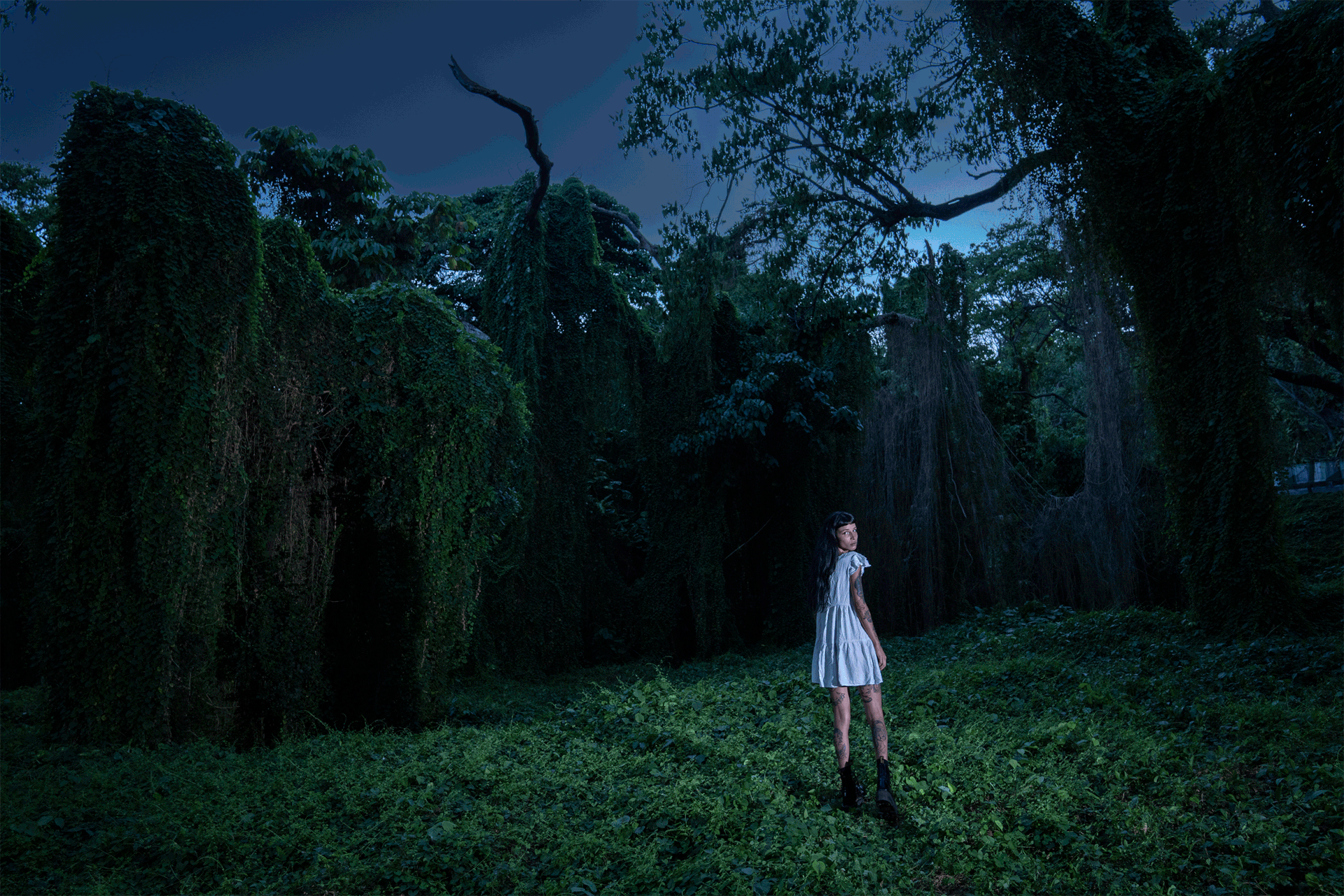 Photo by Jean François Bouchard