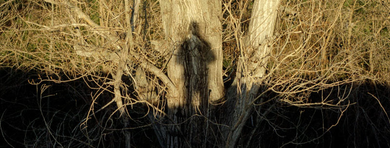 Taller de Redes Sociales para Fotógrafos