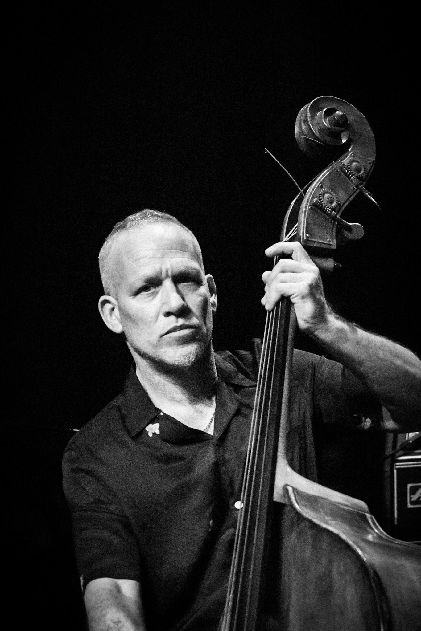 Avishai Cohen, Festival Jazz de Longjumeau, Théâtre de Longjumeau