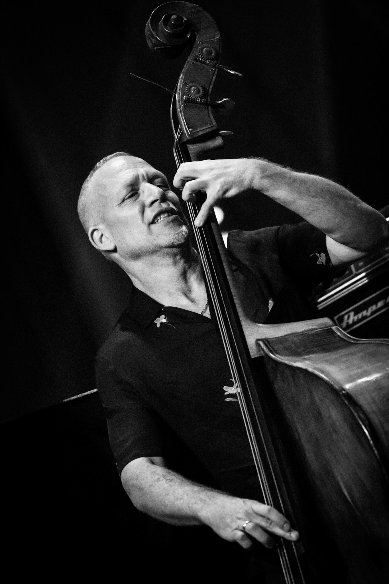 Avishai Cohen, Festival Jazz de Longjumeau, Théâtre de Longjumeau