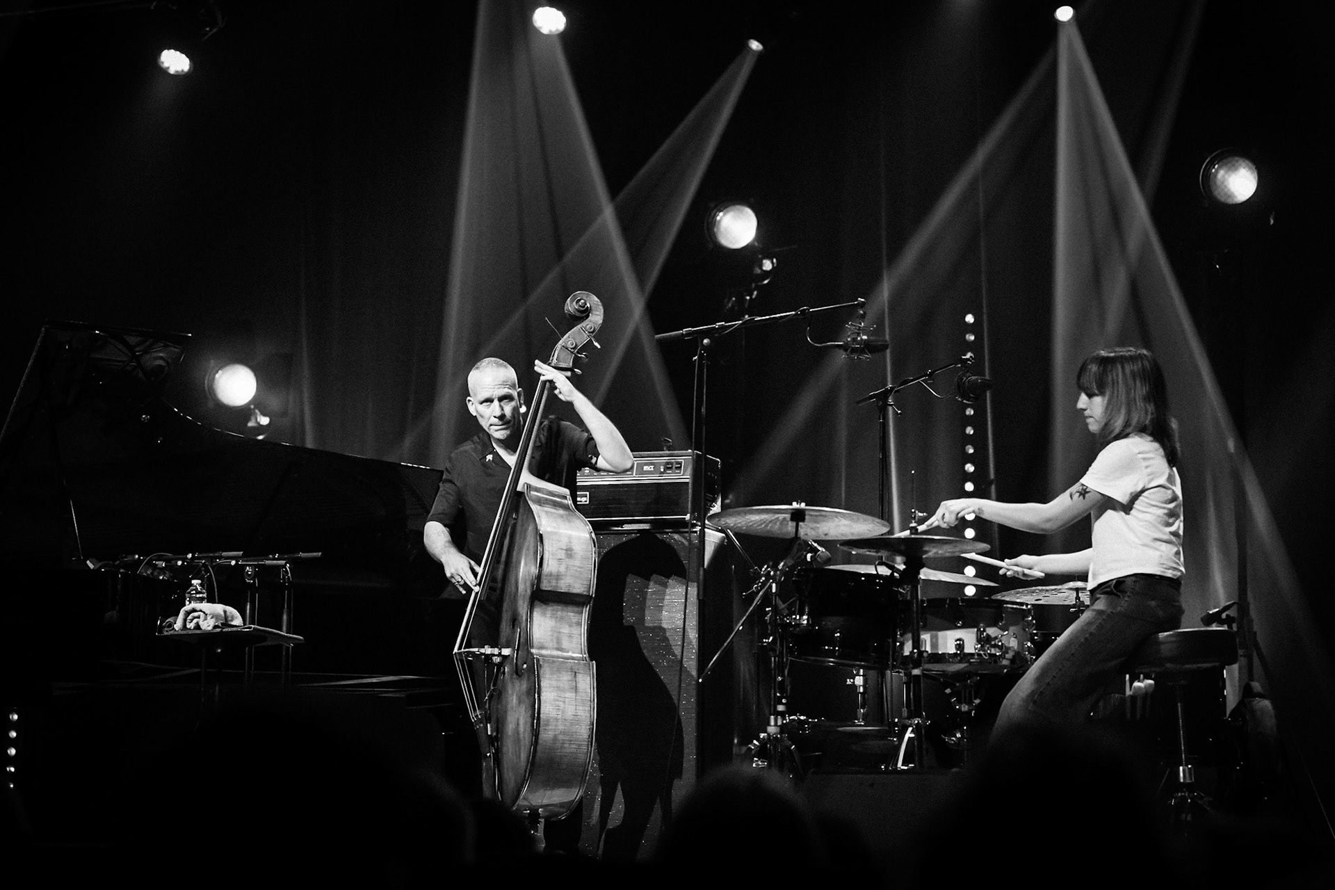 Avishai Cohen, Festival Jazz de Longjumeau, Théâtre de Longjumeau