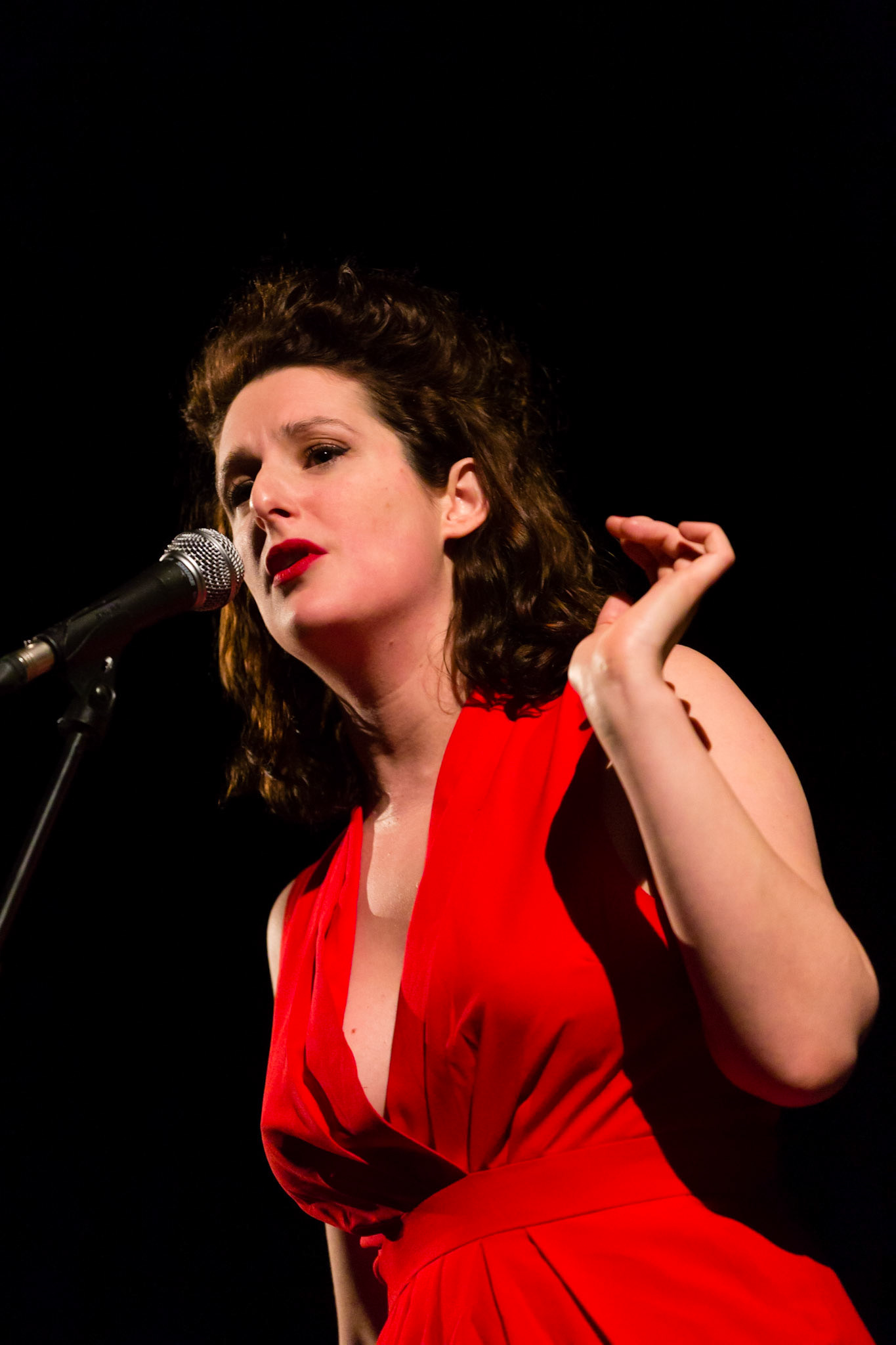 Yucca Velux - Le Trianon (Paris) - 9 janvier 2014