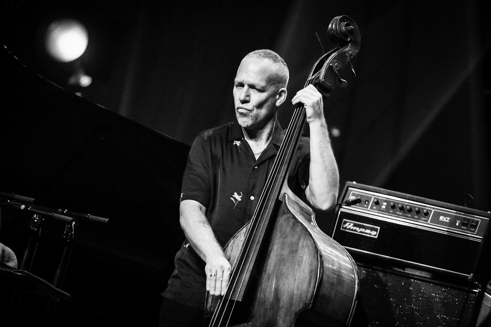Avishai Cohen, Festival Jazz de Longjumeau, Théâtre de Longjumeau