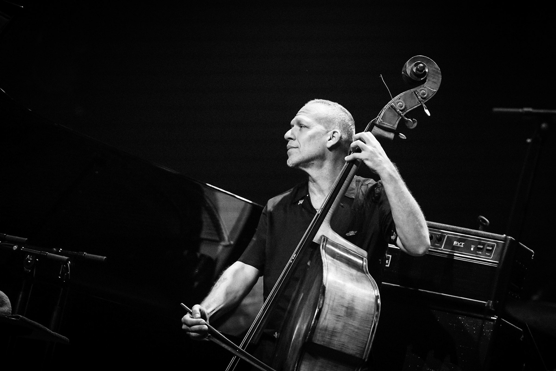 Avishai Cohen, Festival Jazz de Longjumeau, Théâtre de Longjumeau