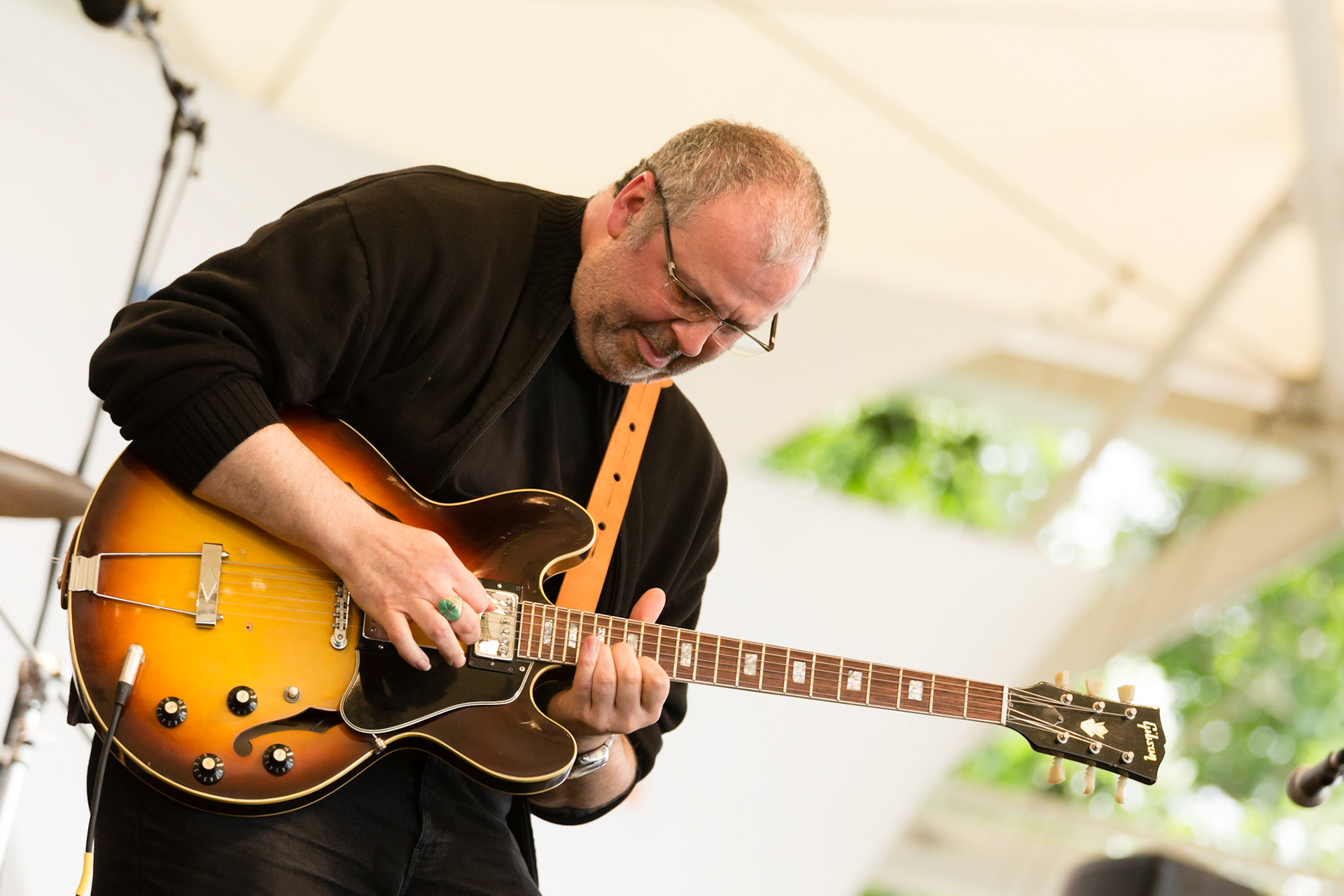 Manu Galvin, Parc Floral (Paris), Grande Scène, 23 juin 2013