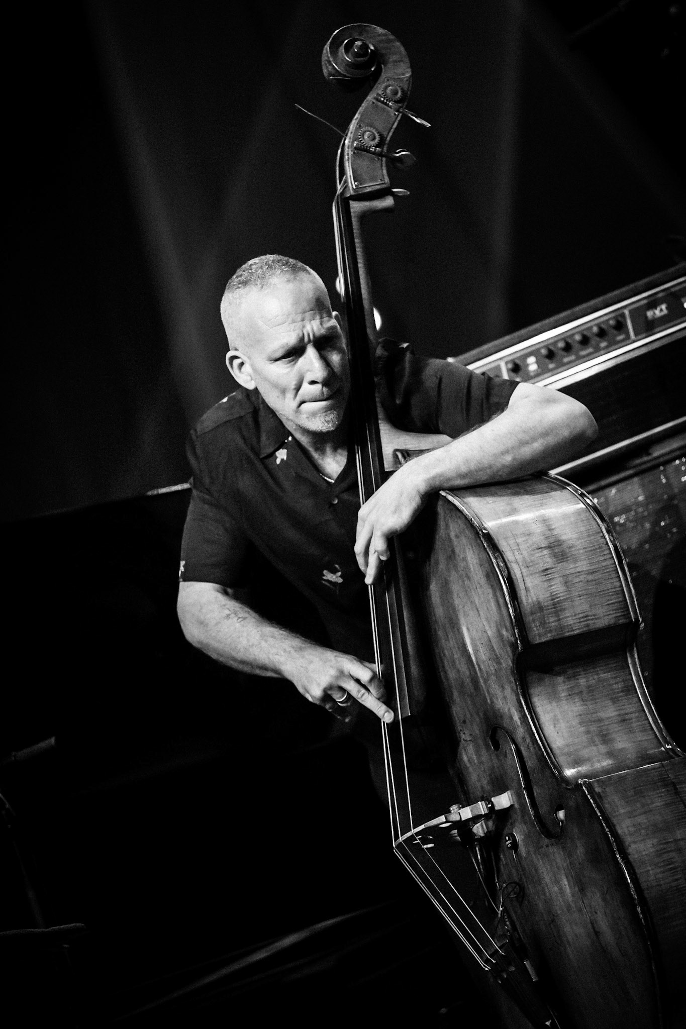 Avishai Cohen, Festival Jazz de Longjumeau, Théâtre de Longjumeau