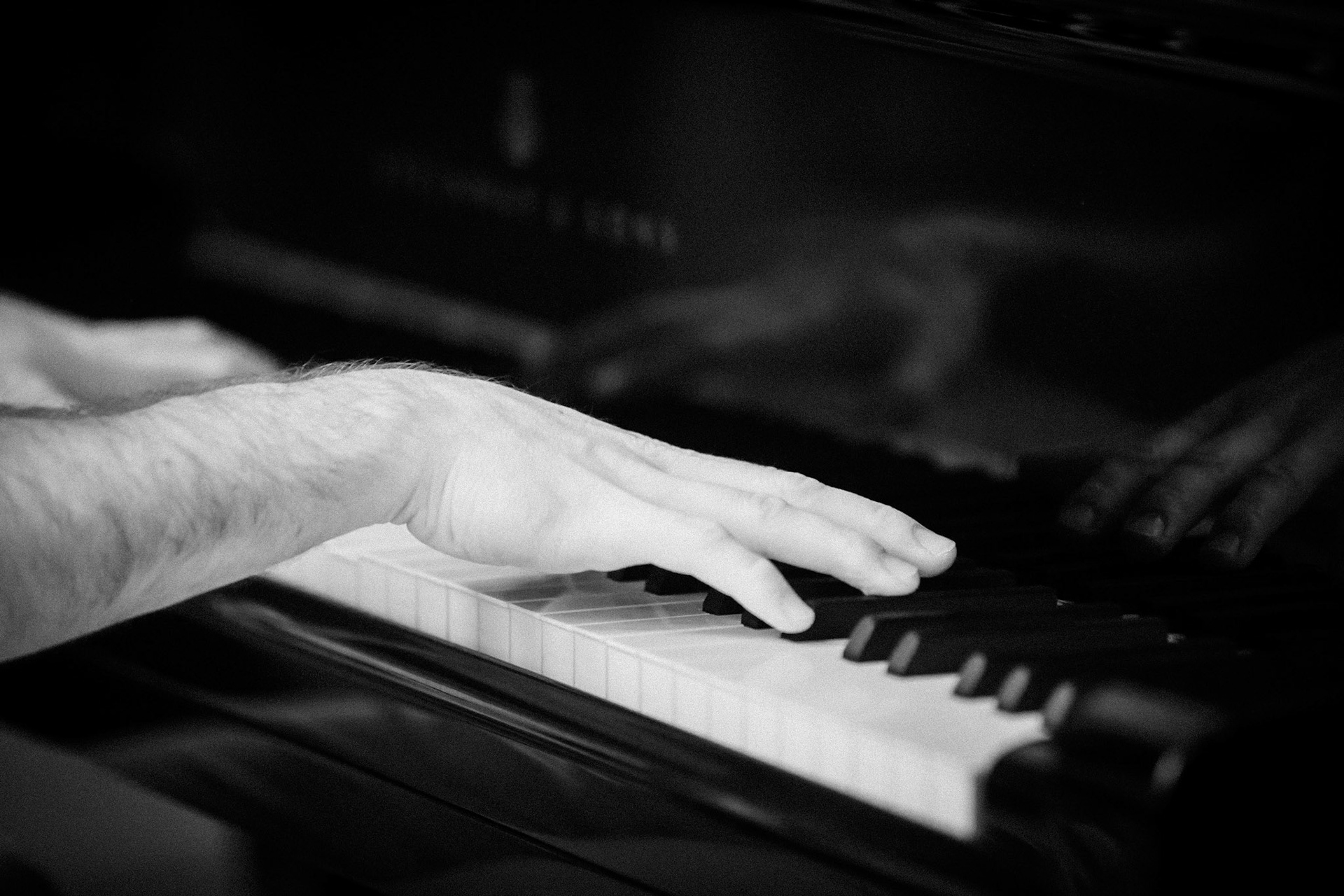 Thomas Enhco &amp; Stéphane Kerecki, Festival Jazz Saint-Germain-des-Prés - Paris , Maison de l'Océan - Grand amphithéâtre, 20 mai 2022