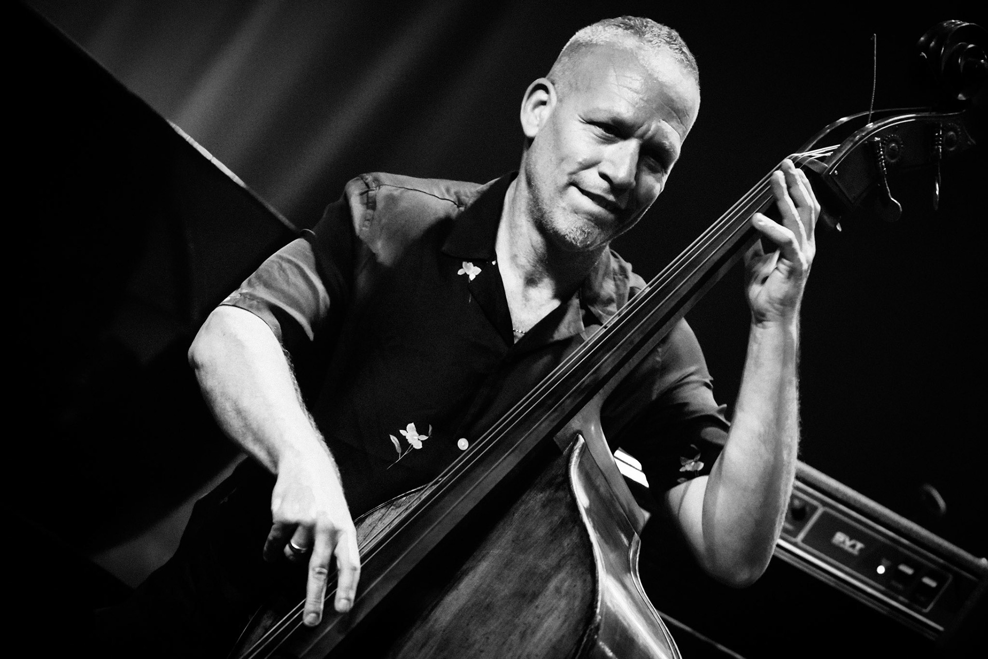 Avishai Cohen, Festival Jazz de Longjumeau, Théâtre de Longjumeau