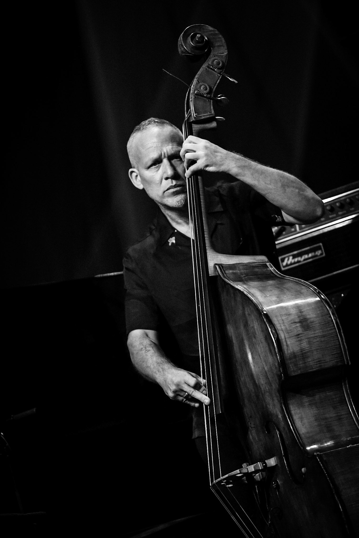 Avishai Cohen, Festival Jazz de Longjumeau, Théâtre de Longjumeau