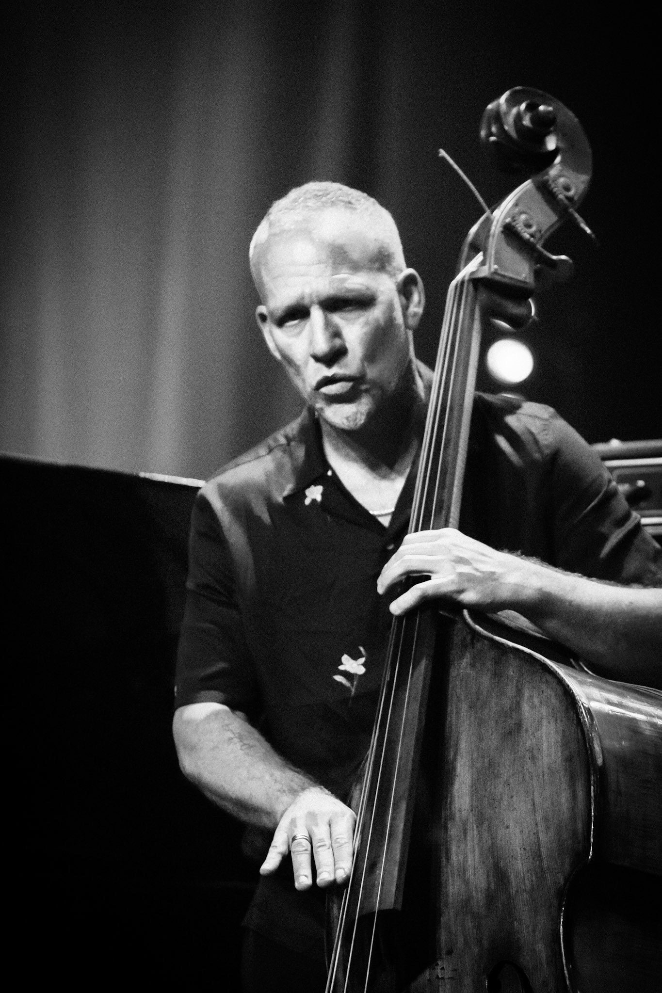 Avishai Cohen, Festival Jazz de Longjumeau, Théâtre de Longjumeau