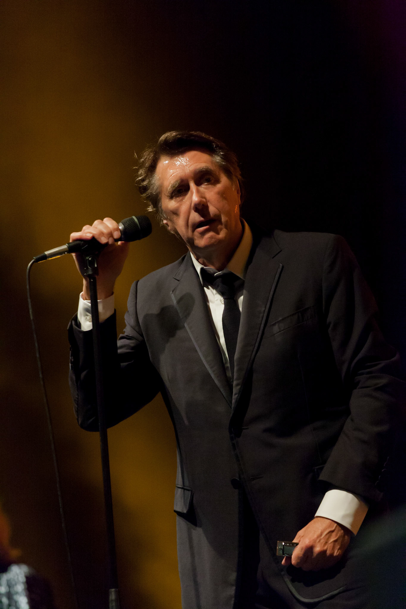 Bryan Ferry