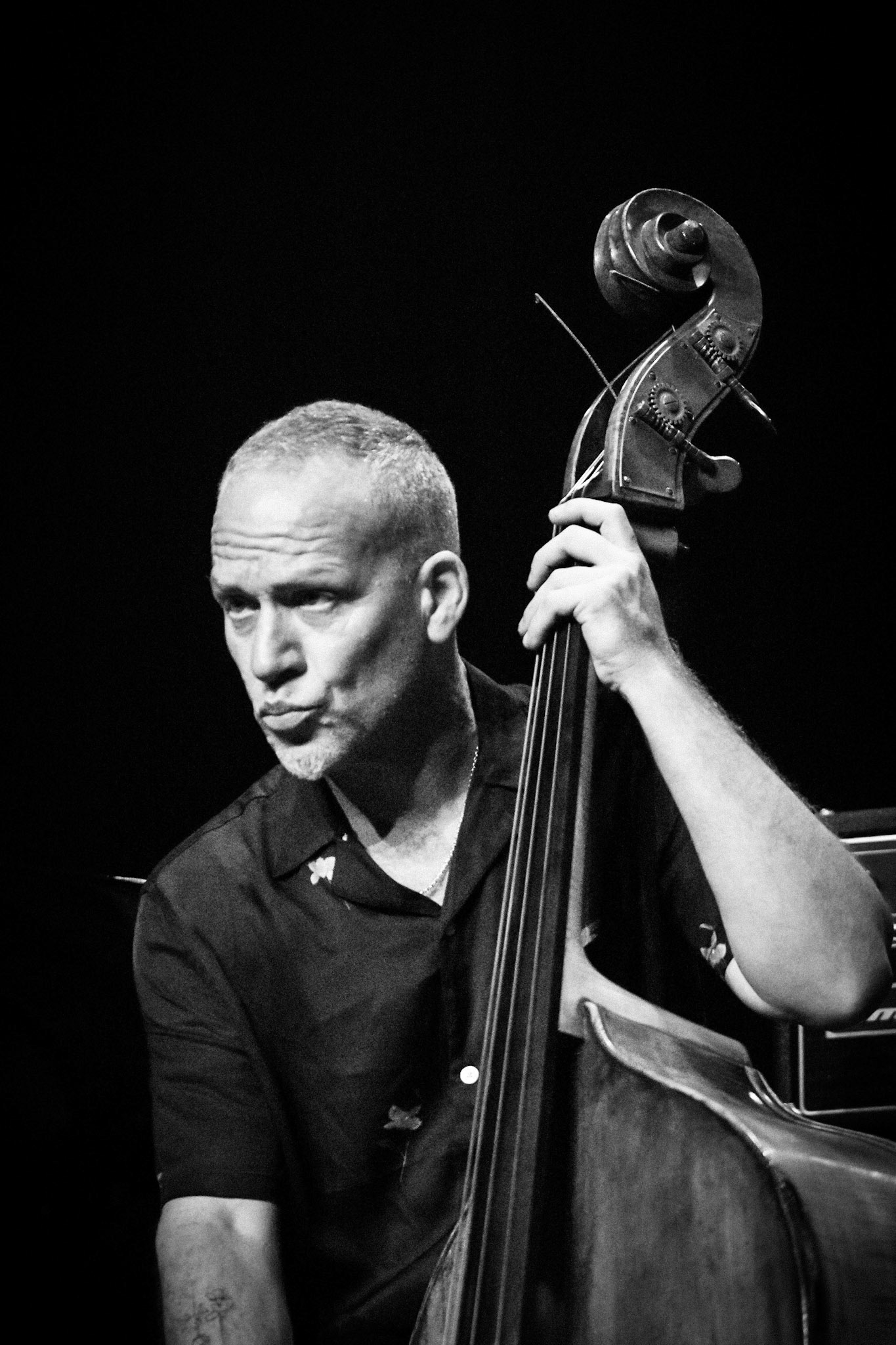 Avishai Cohen, Festival Jazz de Longjumeau, Théâtre de Longjumeau