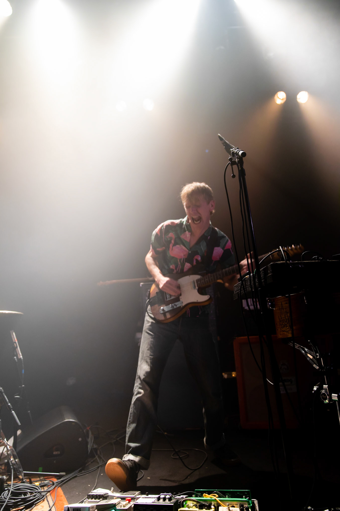 La Jungle, Festival Chorus des Hauts-de-Seine, La Seine Musicale (Boulogne-Billancourt), 31 mars 2023