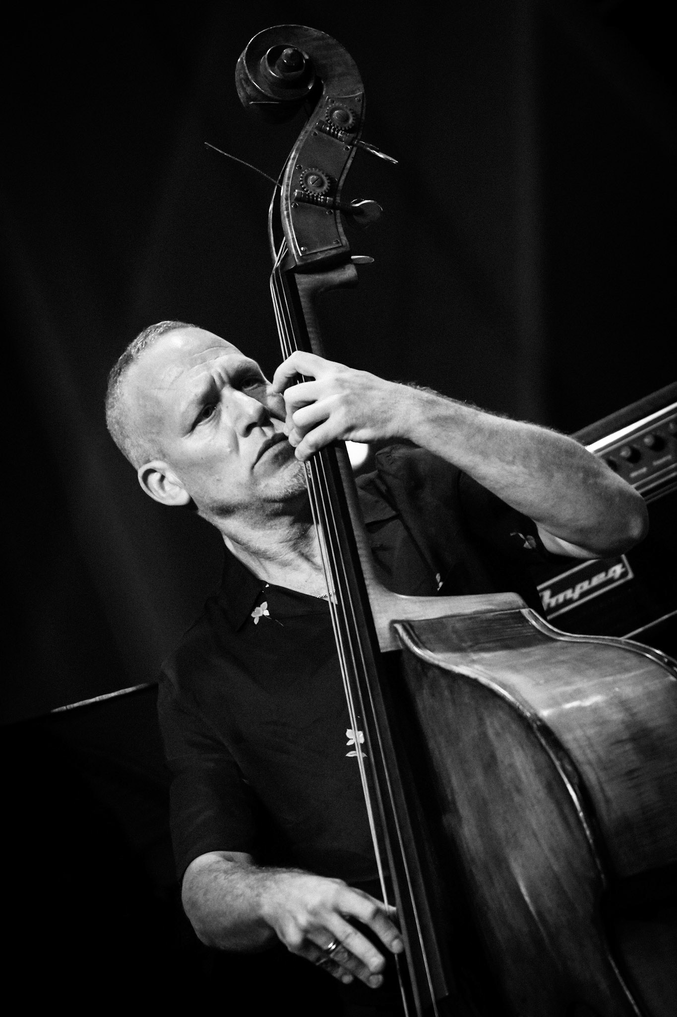 Avishai Cohen, Festival Jazz de Longjumeau, Théâtre de Longjumeau
