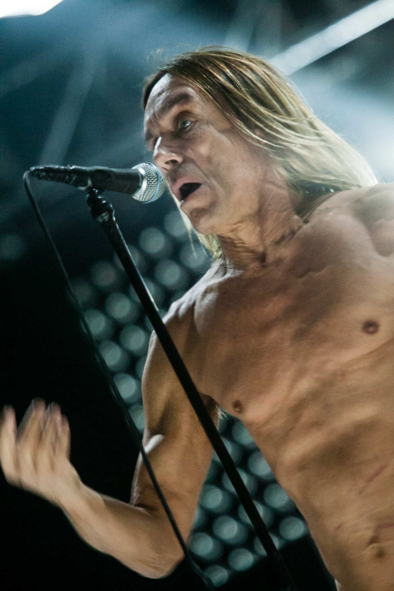 IGGY POP