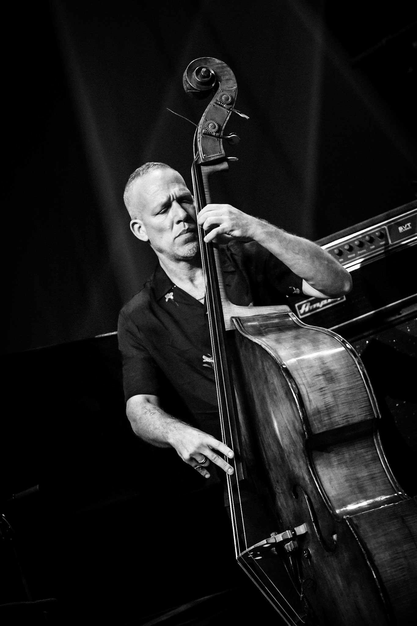 Avishai Cohen, Festival Jazz de Longjumeau, Théâtre de Longjumeau
