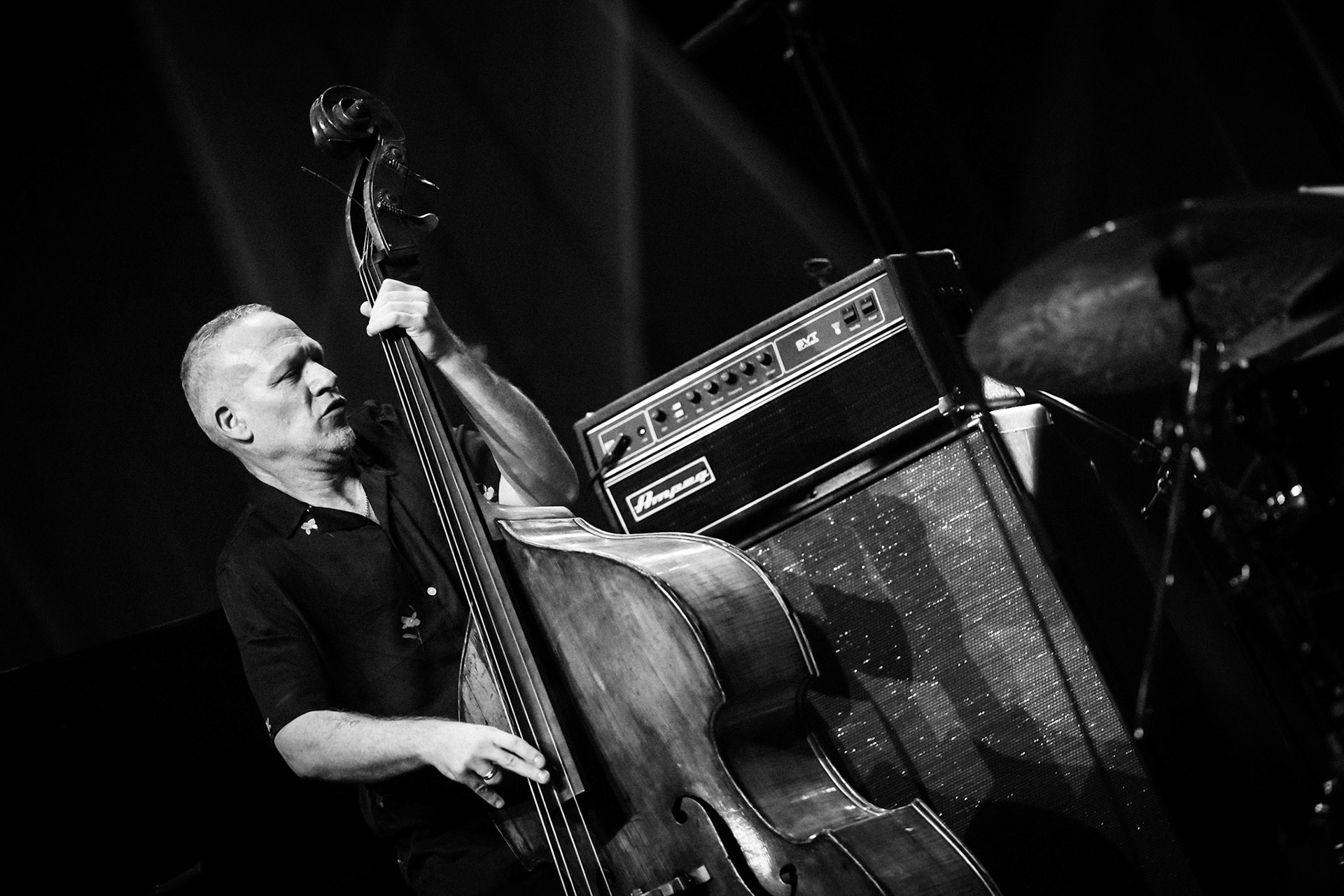 Avishai Cohen, Festival Jazz de Longjumeau, Théâtre de Longjumeau