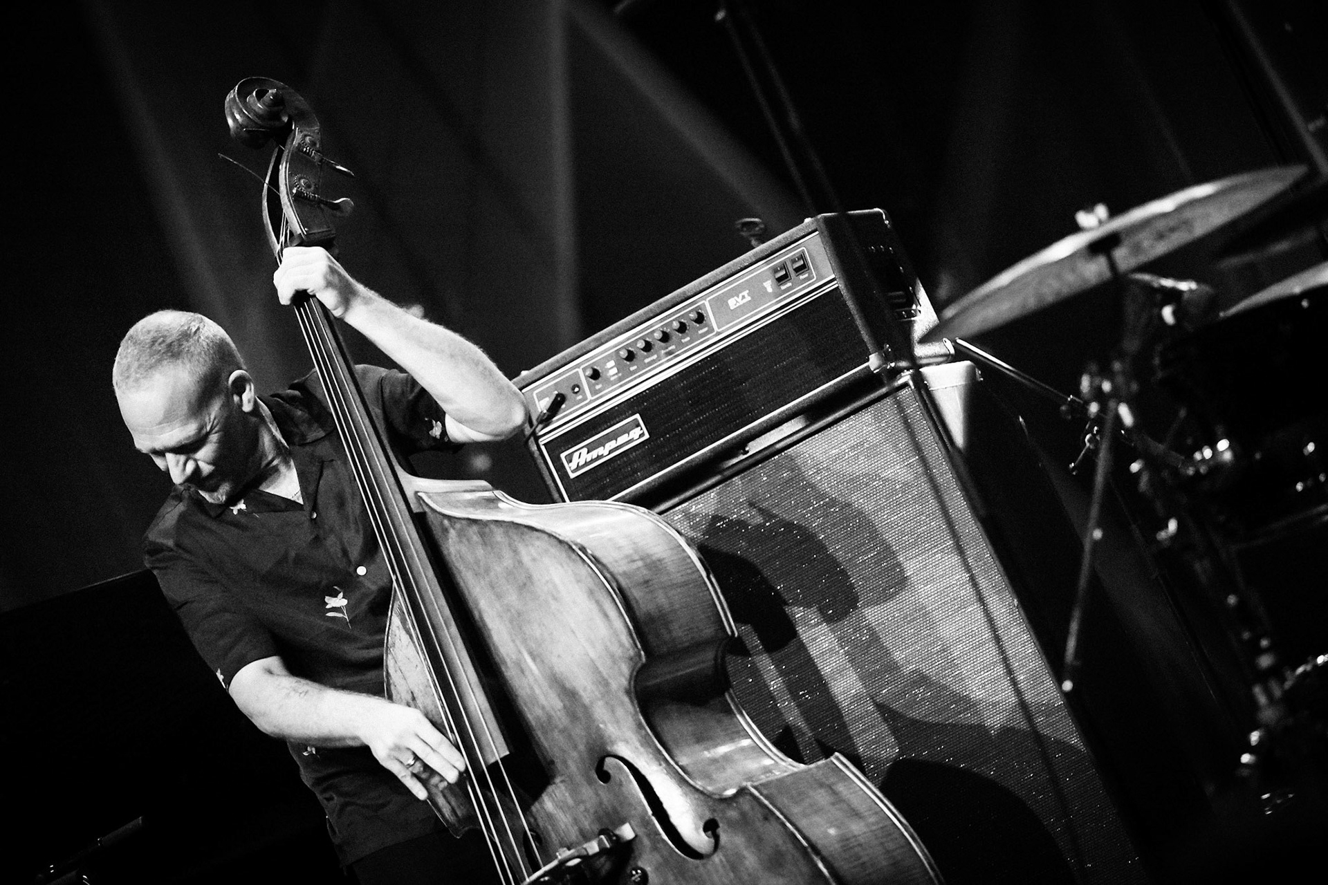 Avishai Cohen, Festival Jazz de Longjumeau, Théâtre de Longjumeau
