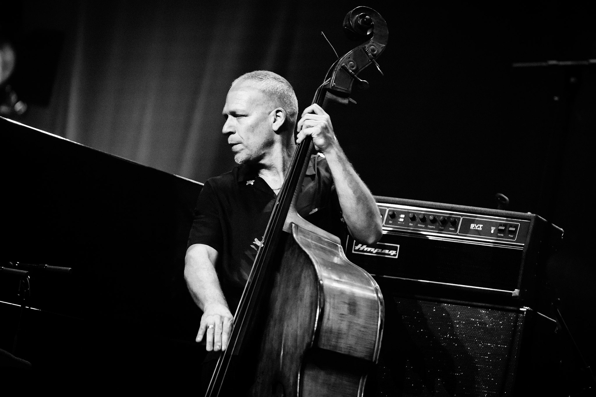 Avishai Cohen, Festival Jazz de Longjumeau, Théâtre de Longjumeau