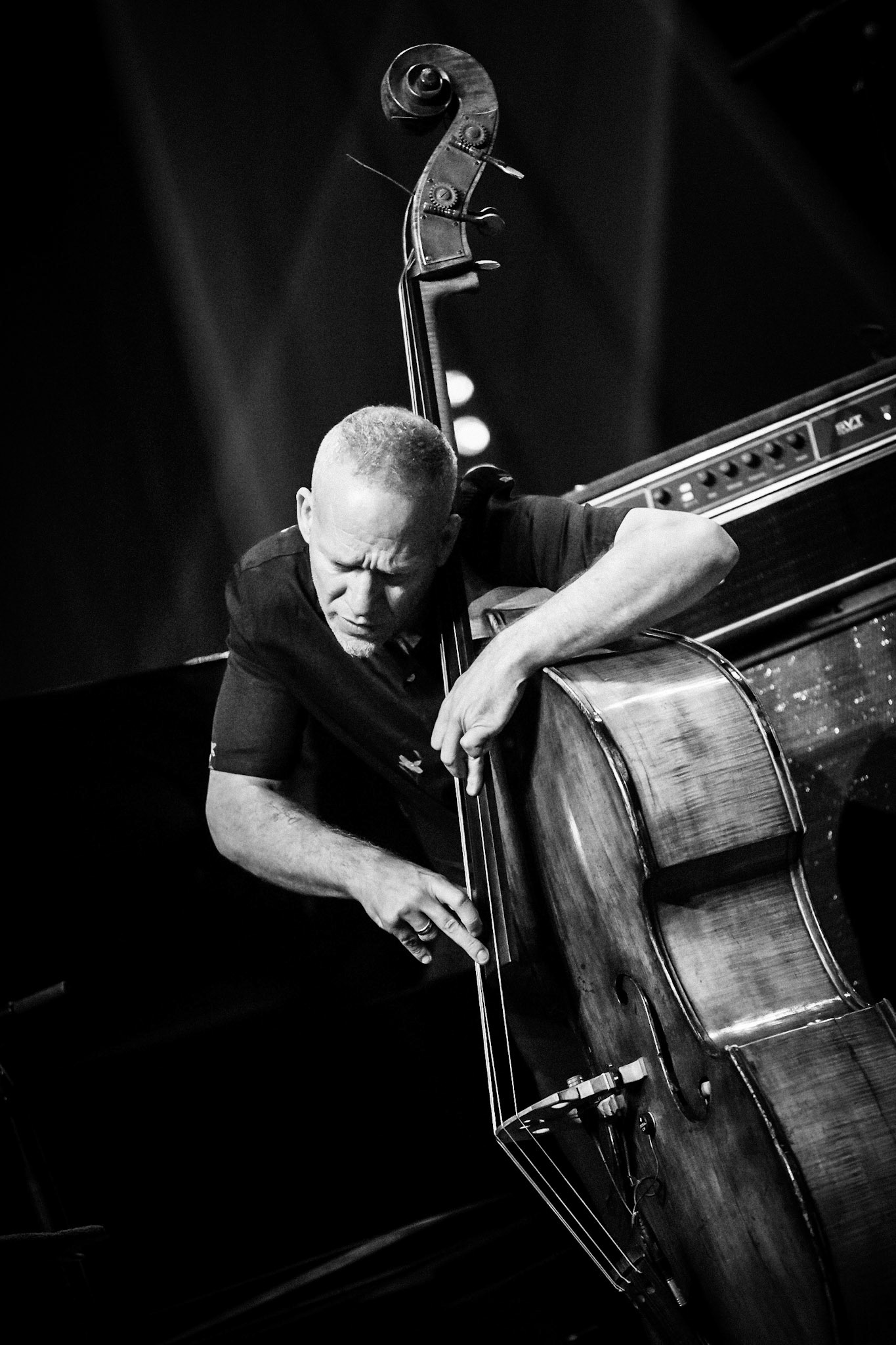 Avishai Cohen, Festival Jazz de Longjumeau, Théâtre de Longjumeau