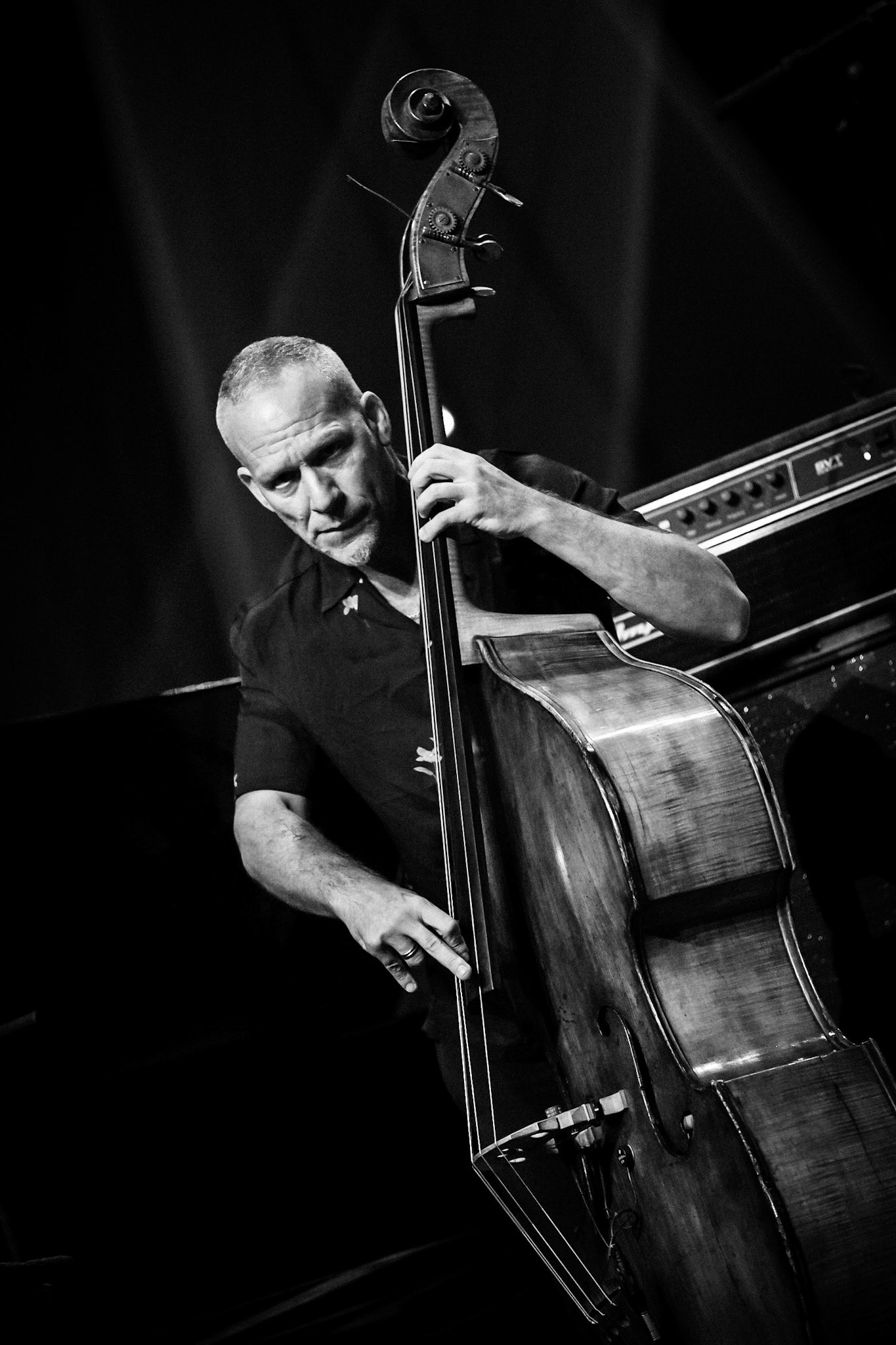 Avishai Cohen, Festival Jazz de Longjumeau, Théâtre de Longjumeau