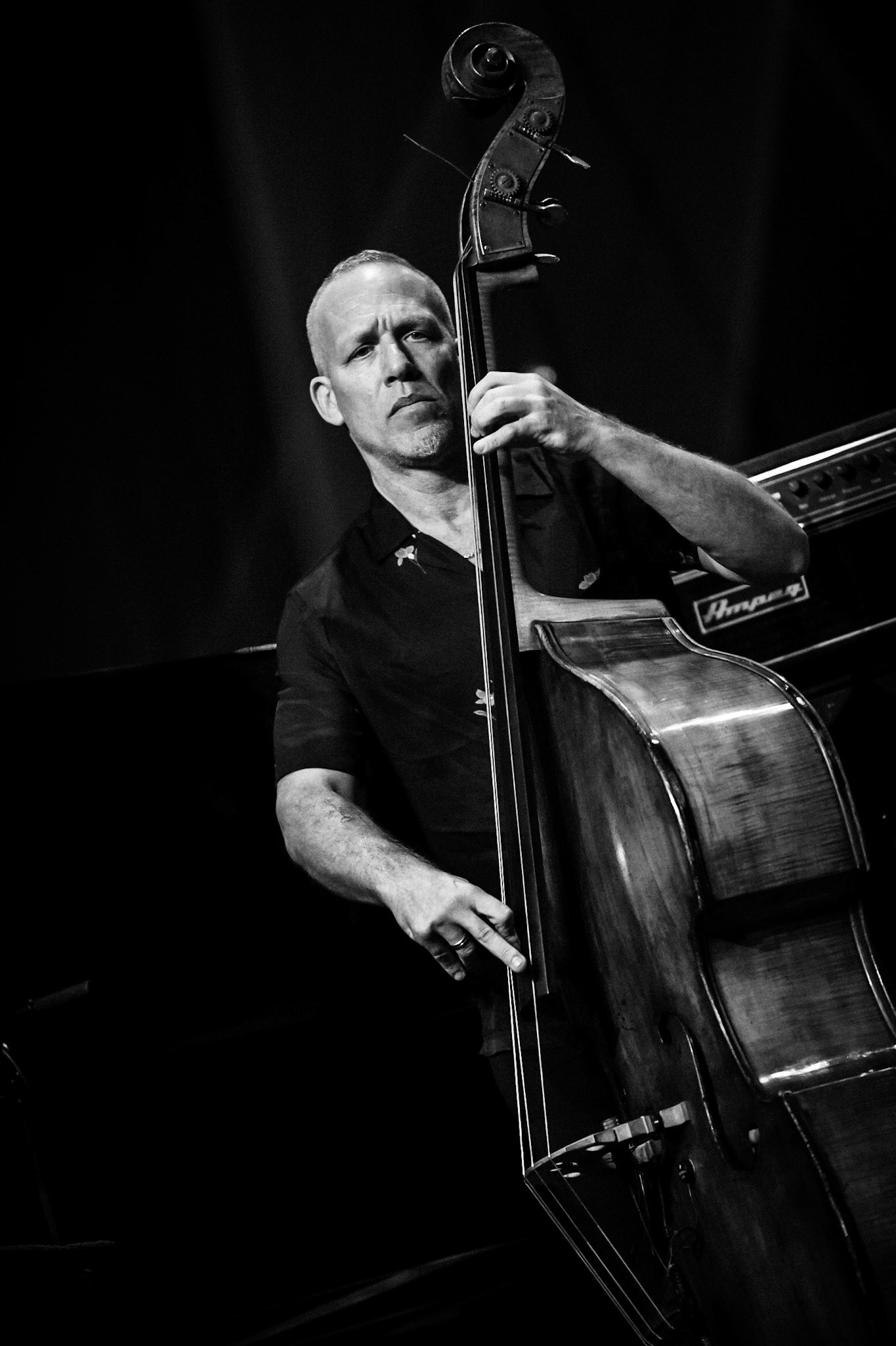 Avishai Cohen, Festival Jazz de Longjumeau, Théâtre de Longjumeau