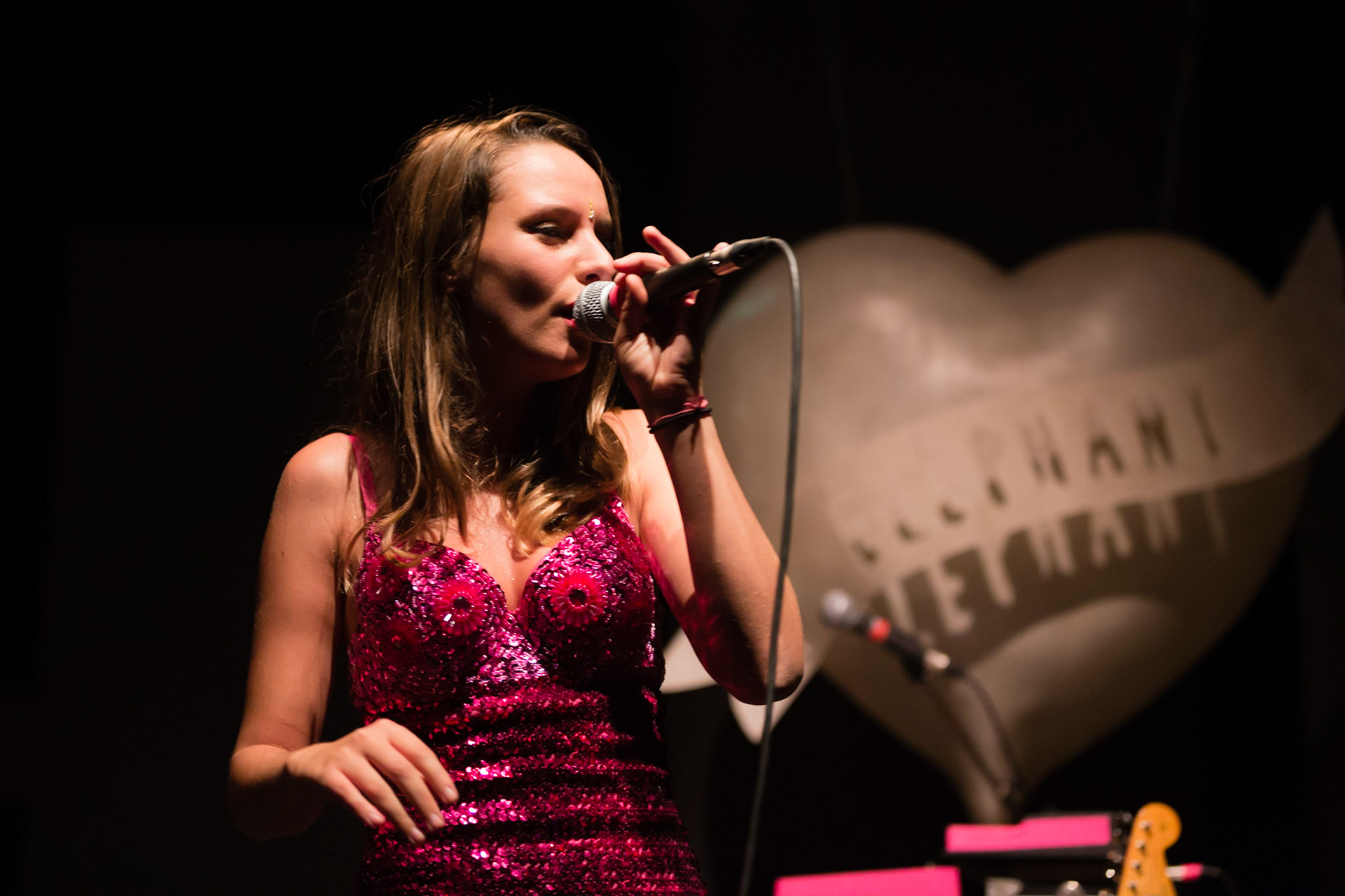 Eléphant - Festi'Val de Marne - MJC Louise Michel (Fresnes) - 5 octobre 2013