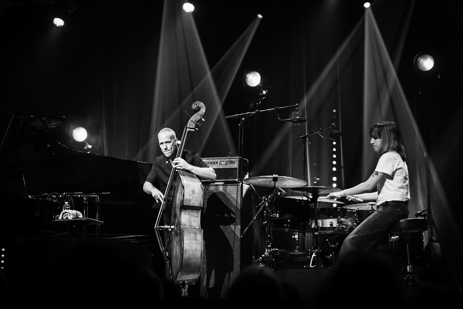 Avishai Cohen, Festival Jazz de Longjumeau, Théâtre de Longjumeau