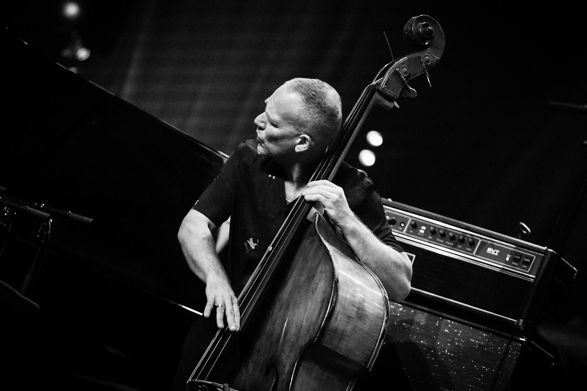 Avishai Cohen, Festival Jazz de Longjumeau, Théâtre de Longjumeau