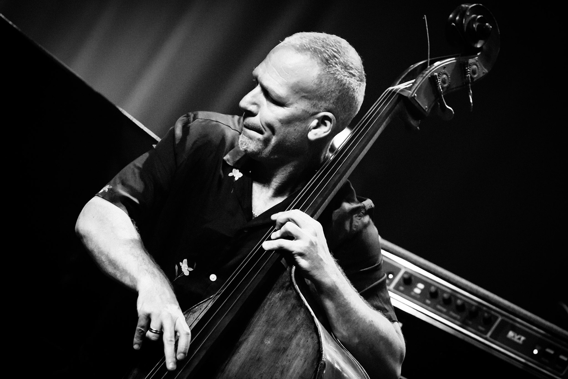 Avishai Cohen, Festival Jazz de Longjumeau, Théâtre de Longjumeau
